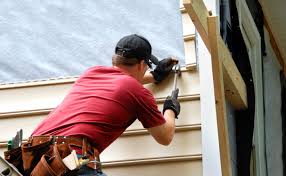 Best Insulated Siding Installation  in Dwight, IL